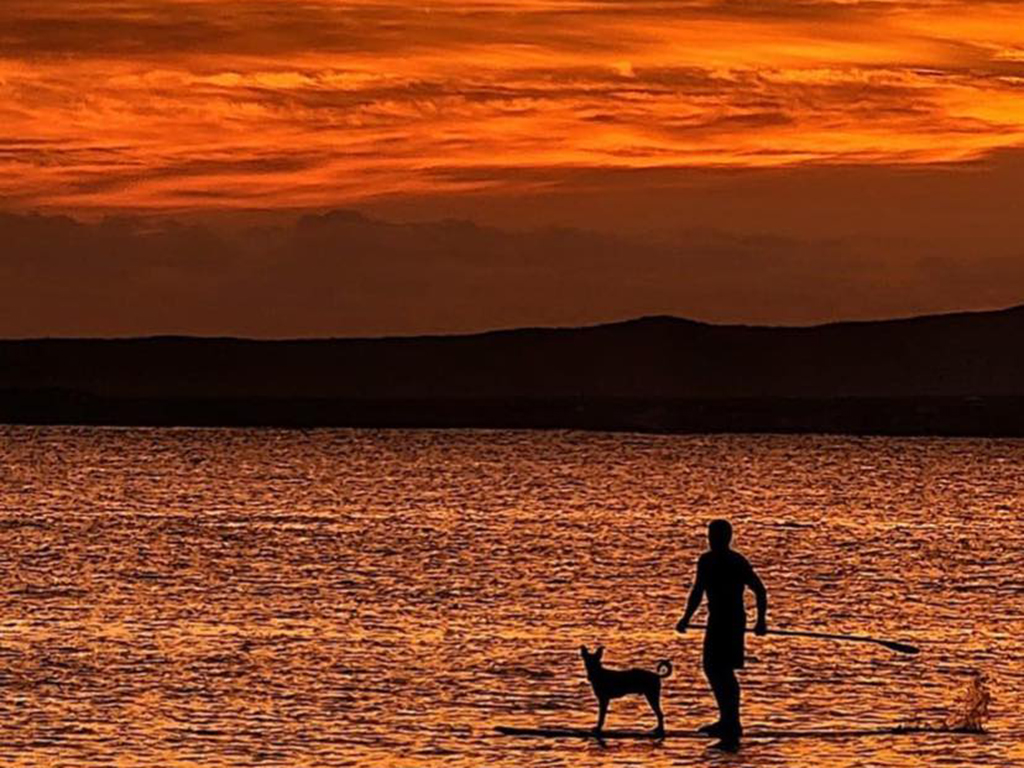 Warm summer water and a stand-up paddleboard on the flat morning bay at La Ventana